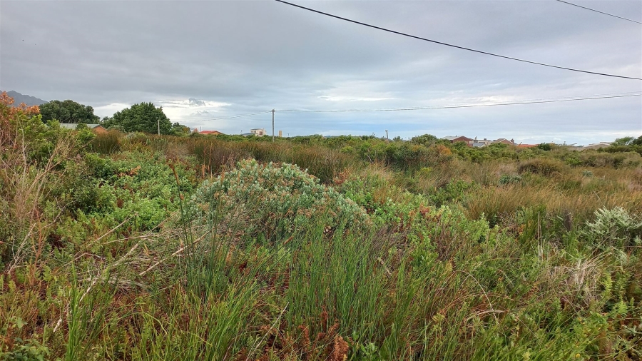 0 Bedroom Property for Sale in Bettys Bay Western Cape